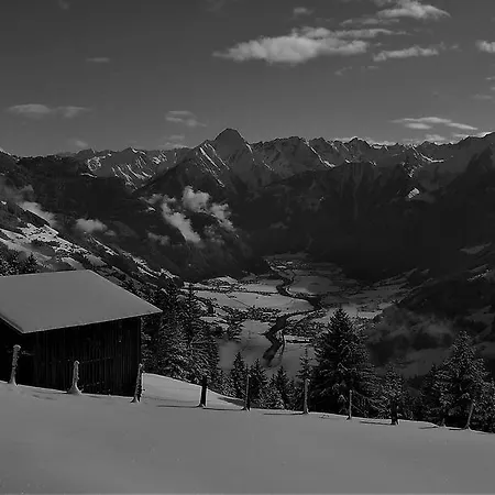 布鲁格度假公寓 * Zellberg