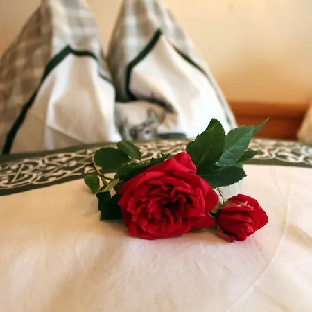 Διαμέρισμα Brugger