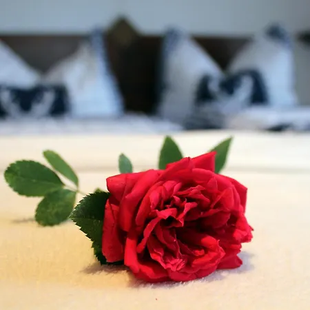 Brugger Διαμέρισμα